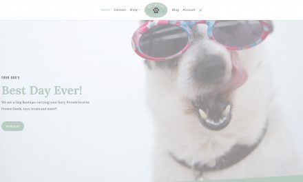 Best Day Ever, A Dog Boutique site launch