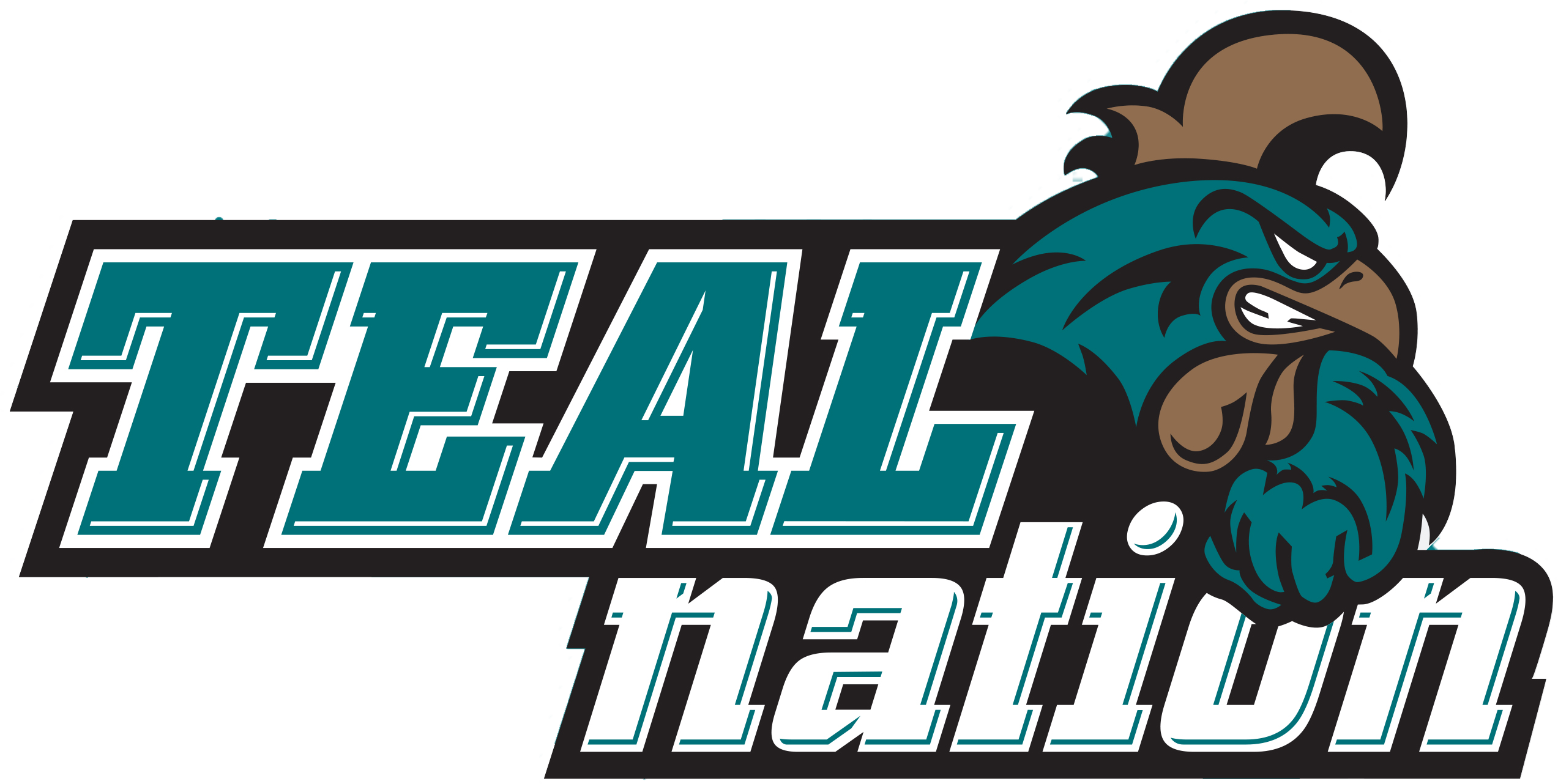 TEAL Nation logo